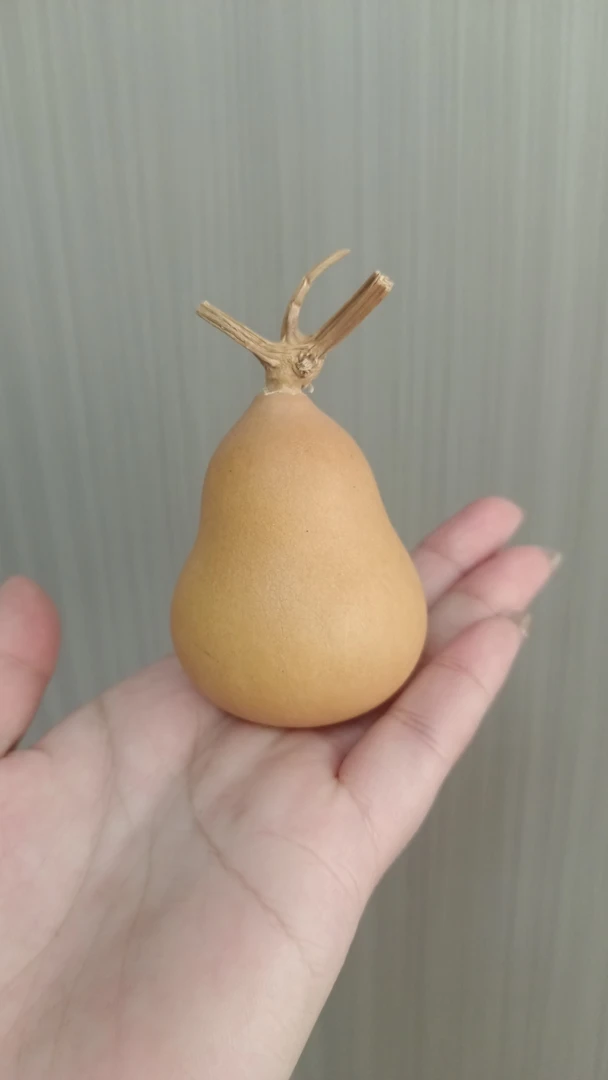 直播间葫芦专用链接，请勿乱拍