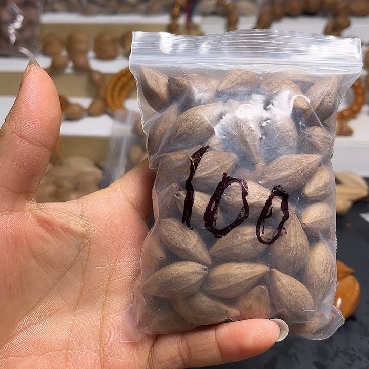 橄榄核手串/手链111