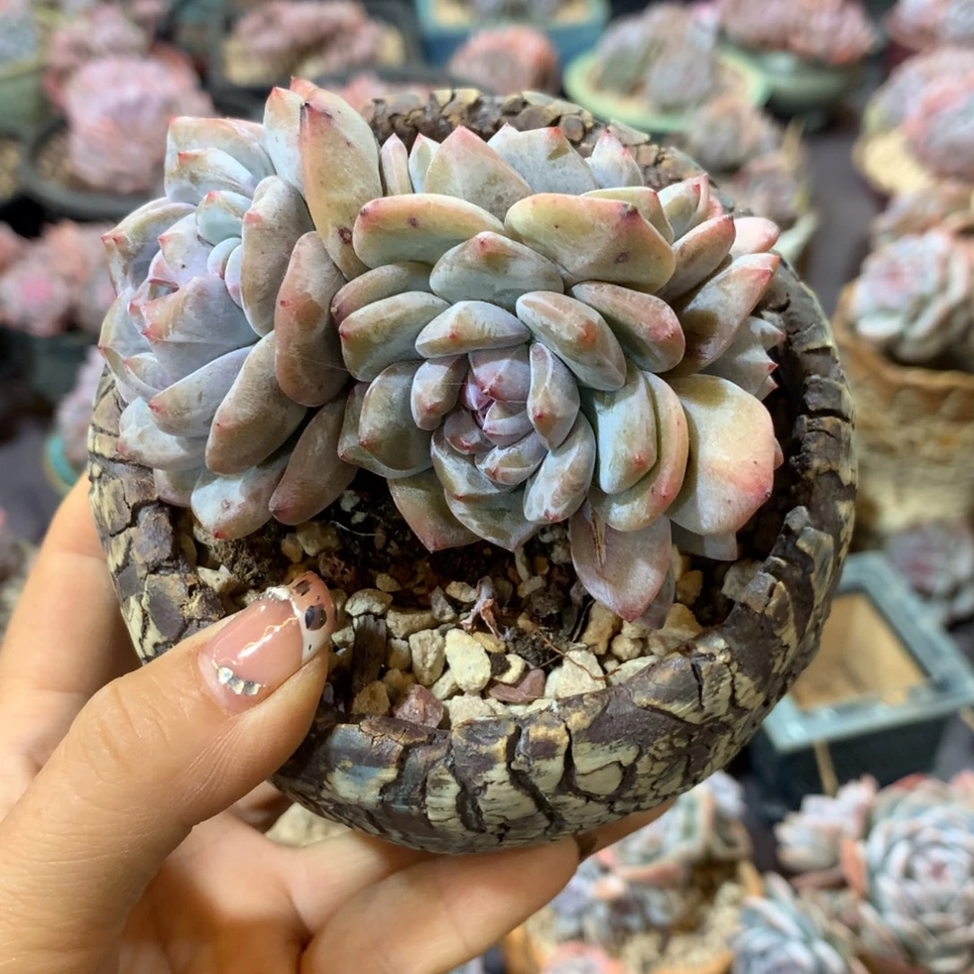 哈哈哈哈哈哈哈哈哈哈