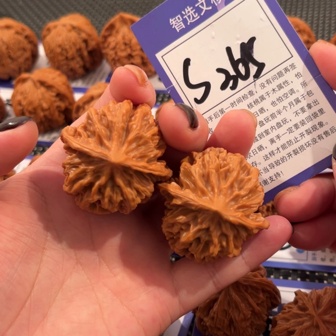 核桃S365号帝王41尺