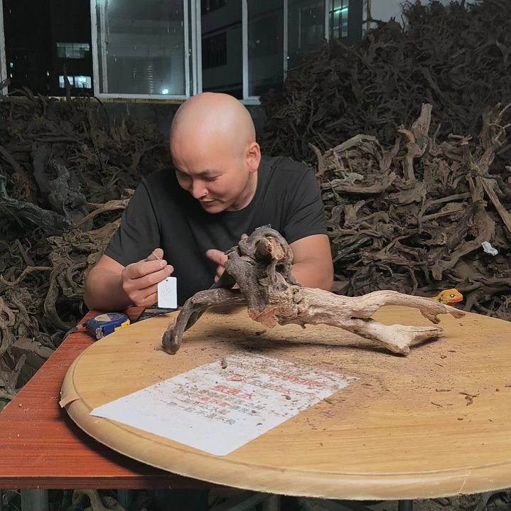 木鱼缸 造景水库杜鹃根168