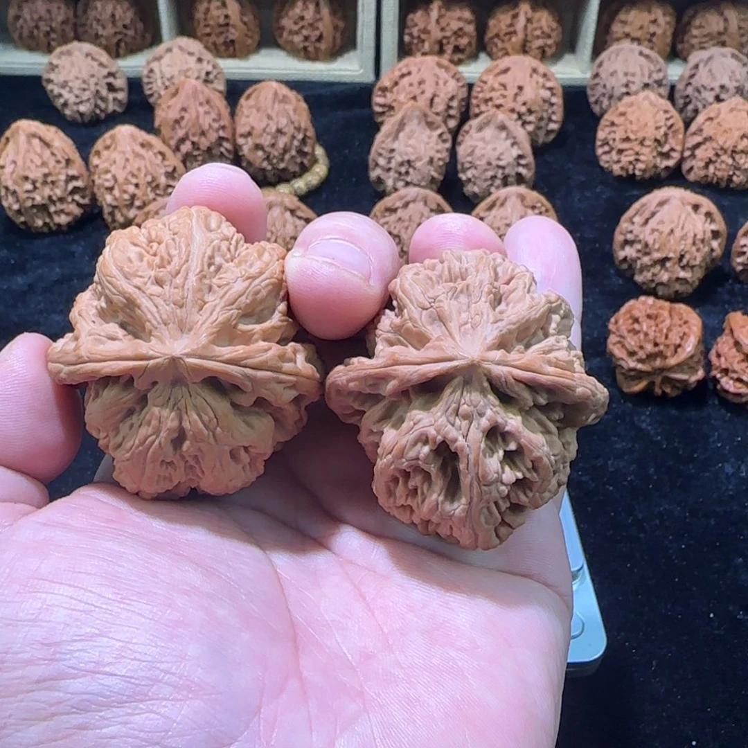 文玩核桃把件46大粗筋