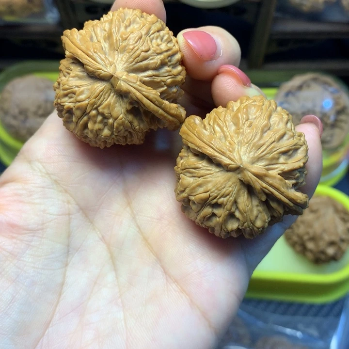 把件核桃瓦****g白狮子40