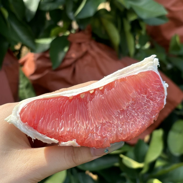 福建平和红心蜜柚新鲜应季皮薄肉厚清甜鲜嫩多汁水果孕妈妈水果