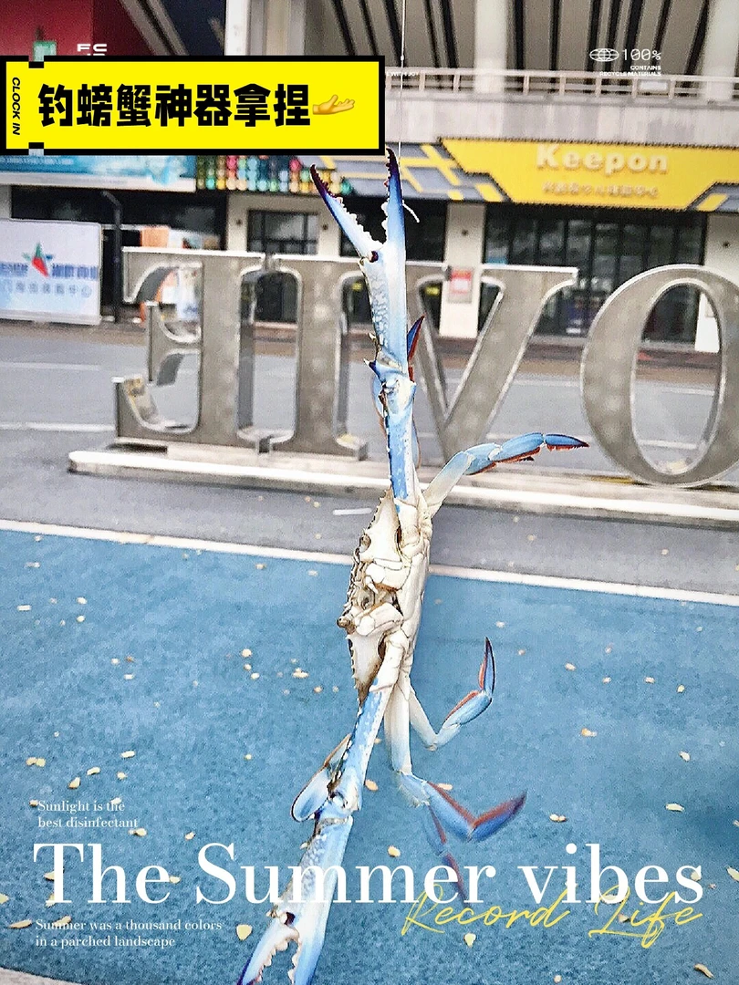 手工钓螃蟹神器自制螃蟹套钓蟹工具8线圈可远投命中率高