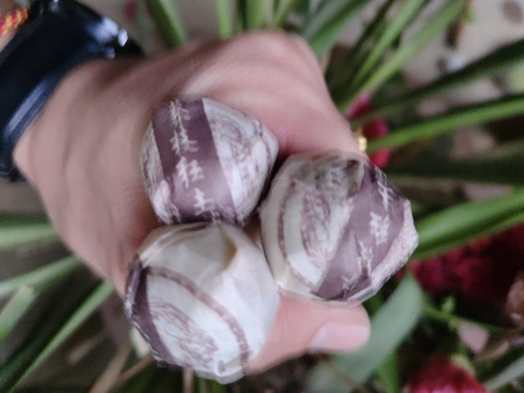 2018年莽枝红土坡混采普洱生茶龙珠M43号