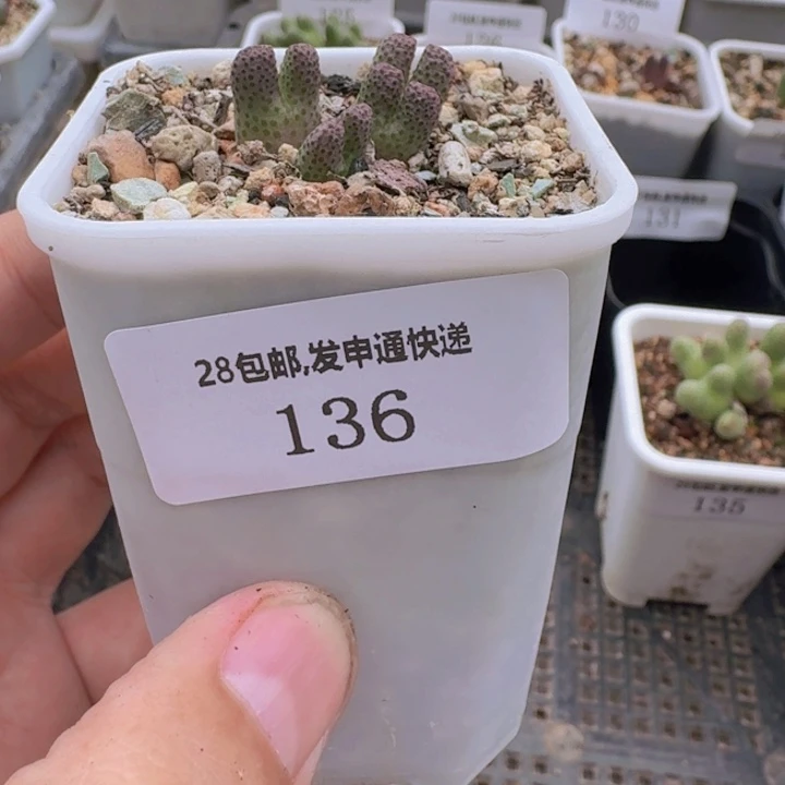 136.
