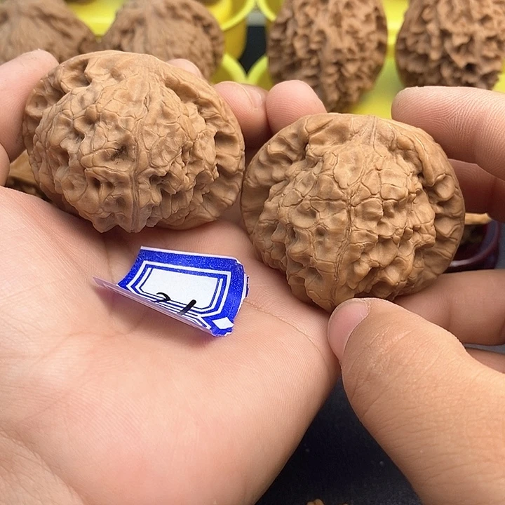 雨***光把件文玩核桃51龙鼎（手捏对）