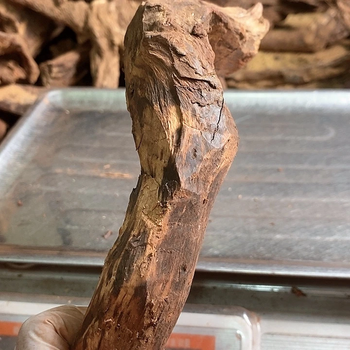 花梨木类自*湾海南黄花