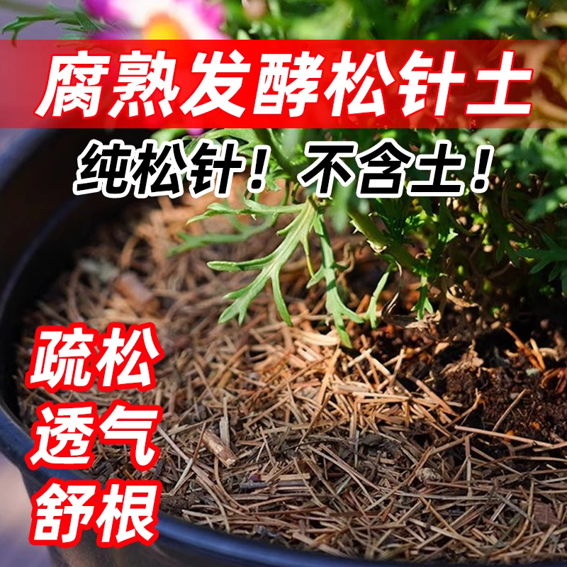 纯松针腐殖发酵腐熟专用养花天然松针腐叶营养土种菜育苗松针土