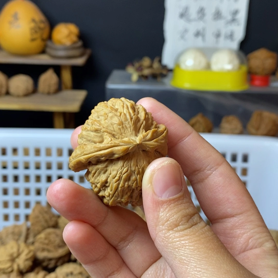 静***朗大叶紫檀（黑酸枝木类）