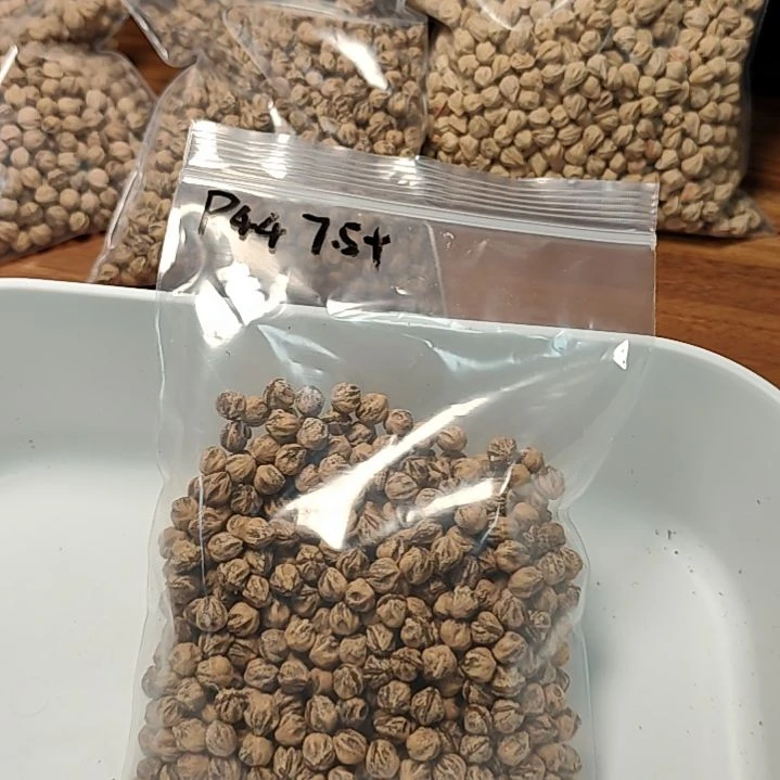 ꪝ塘果百香散籽白芽