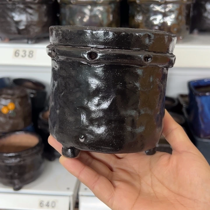 特价多肉花盆百搭