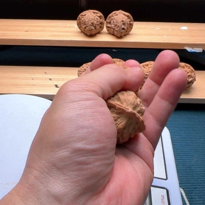 文玩核桃把件夜**雨佛肚