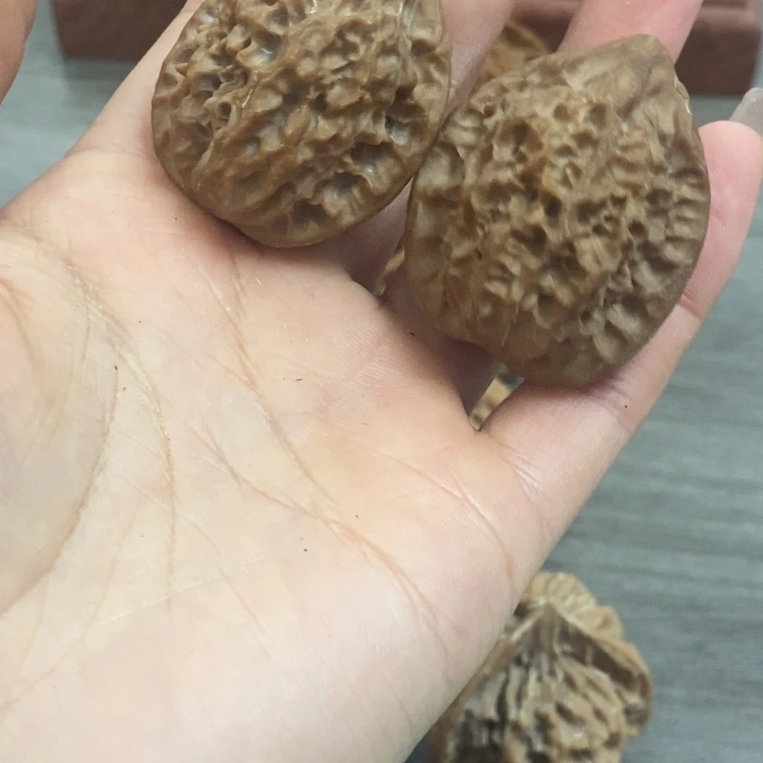 桃核吊坠帅**爸秦岭凤凰羽33全品