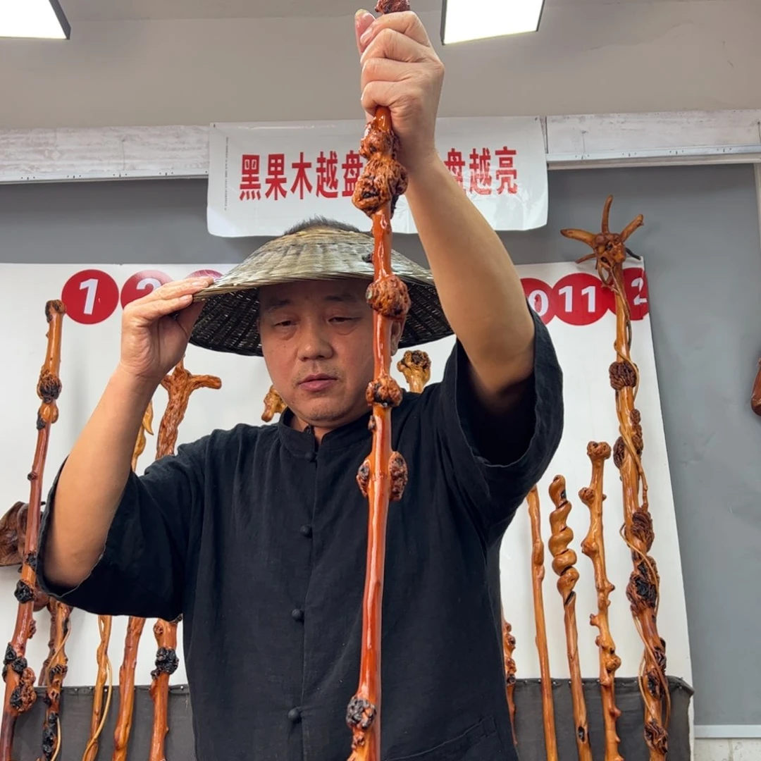 喜****黑果木其他黑果木060