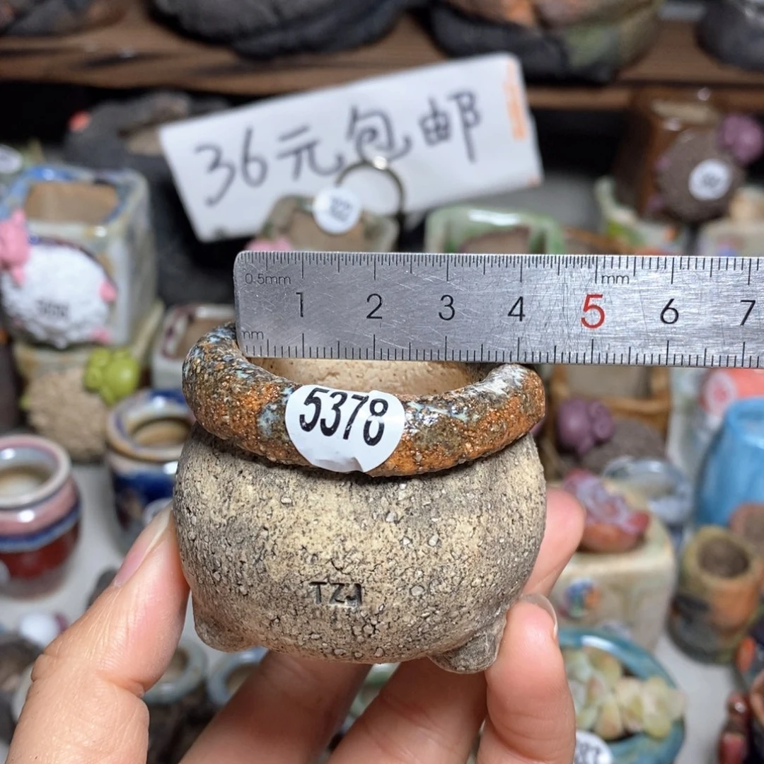 拍3送一个小礼物