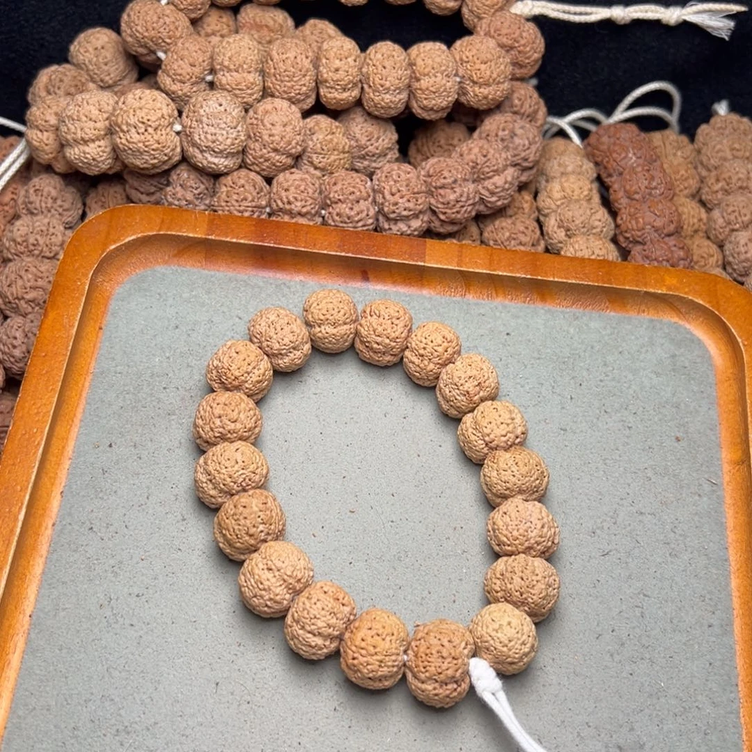 菩提4号金刚菩提菠萝蜜19