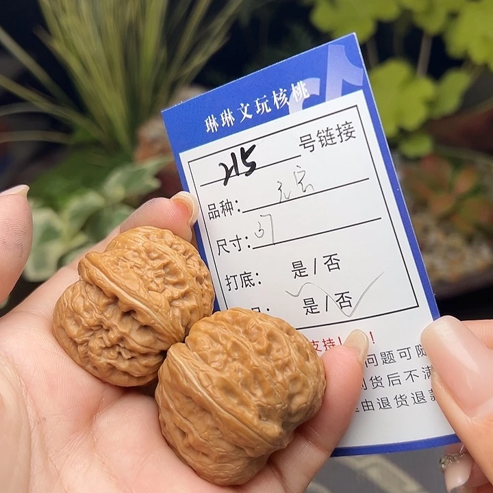 文玩核桃吊坠核桃树215