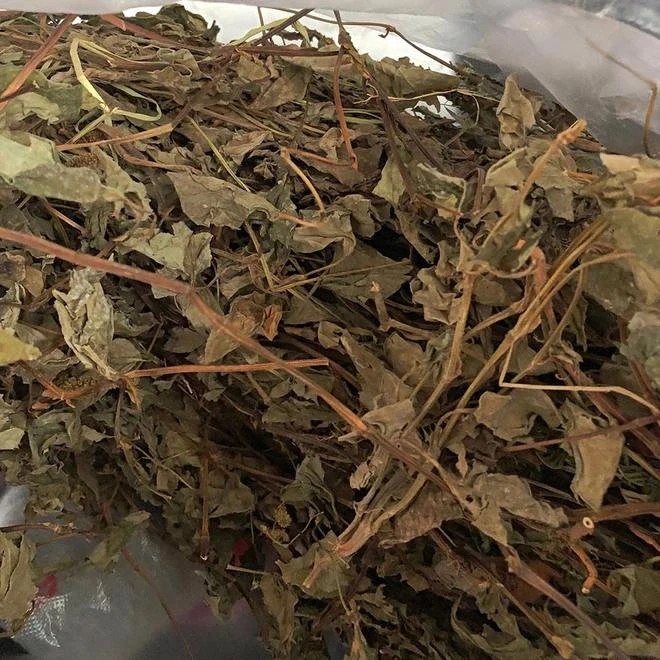 【 鱼腥草】净重250g 大别山老乡自采干货（散称包装，介意勿拍）