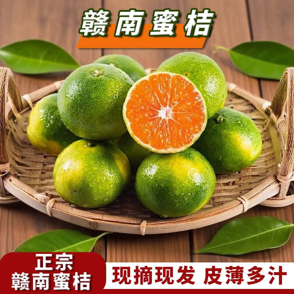 正宗赣南青皮蜜橘新鲜当季水果酸甜多汁薄皮无籽孕妇水果整箱包邮