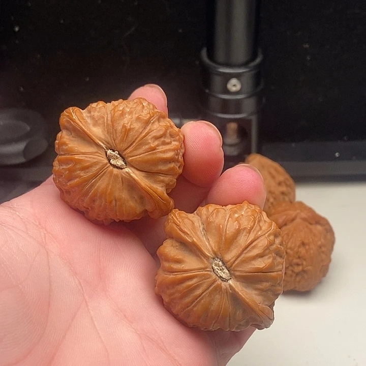 大叶紫檀（黑酸枝木类）文玩核桃敦煌手把件
