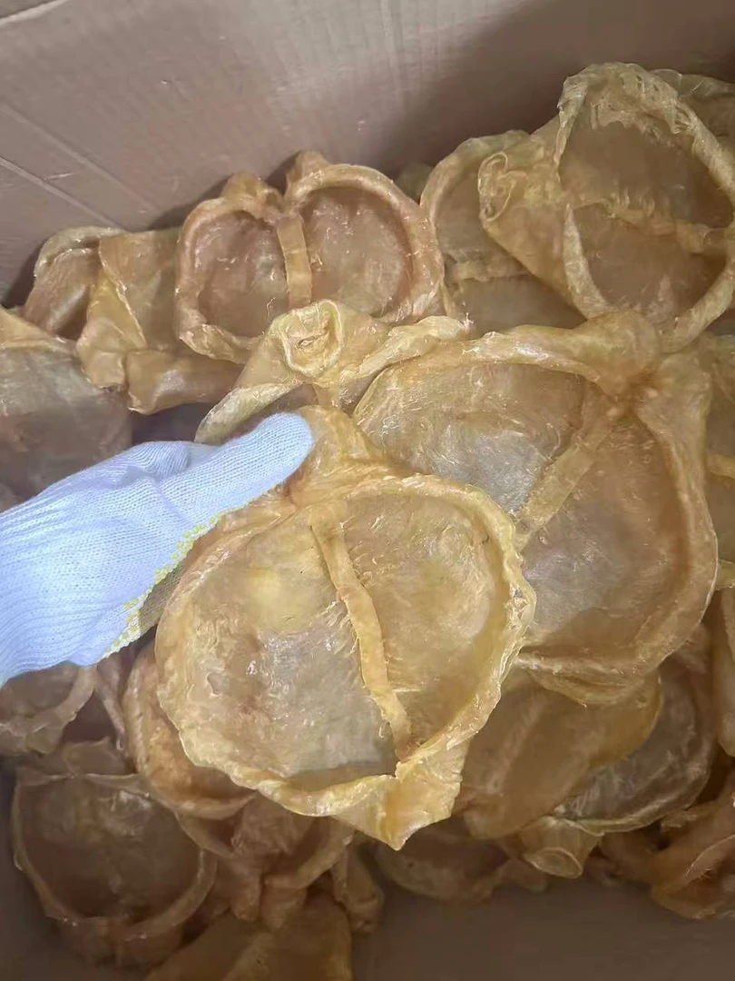 【飞飞精选】特惠款9头黄花胶