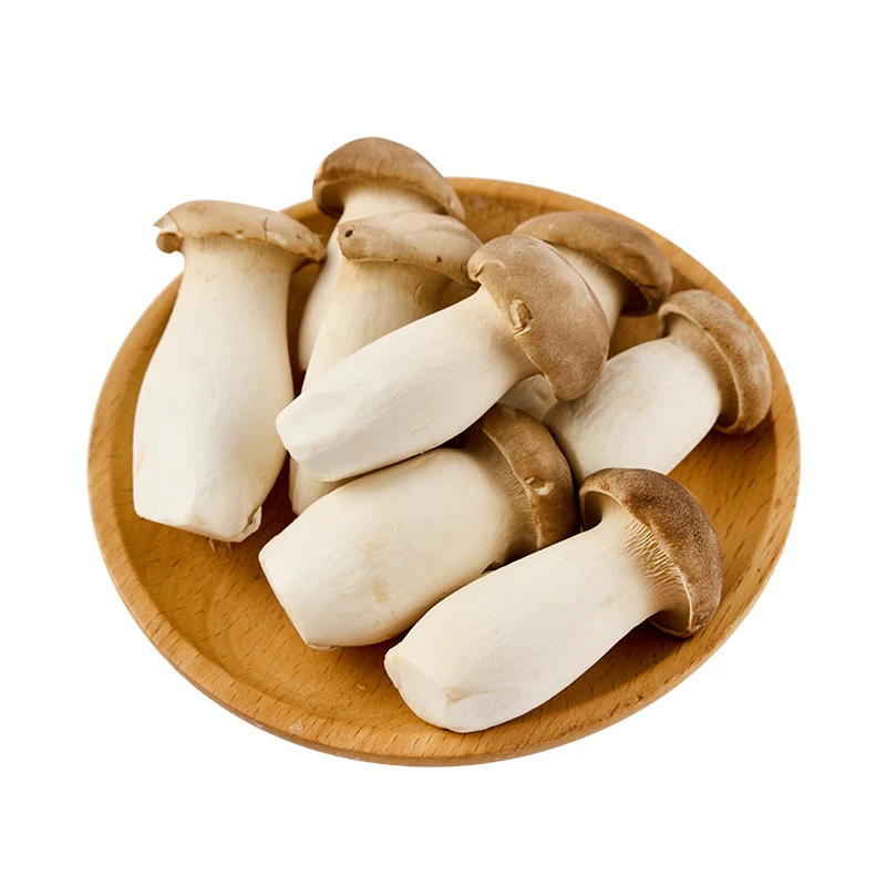 珍菇园有机杏鲍菇200g/份