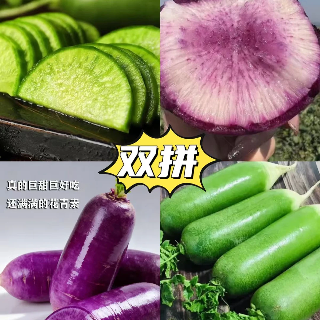 5斤包邮双拼脆甜冰激凌萝卜 现摘现发带泥发货 新鲜水果萝卜
