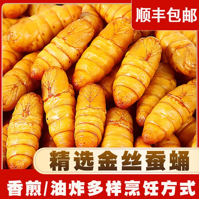 ［旺哥烧烤餐饮精选］新鲜金丝蚕蛹鲜活冷冻不加盐商用烧烤特级油炸