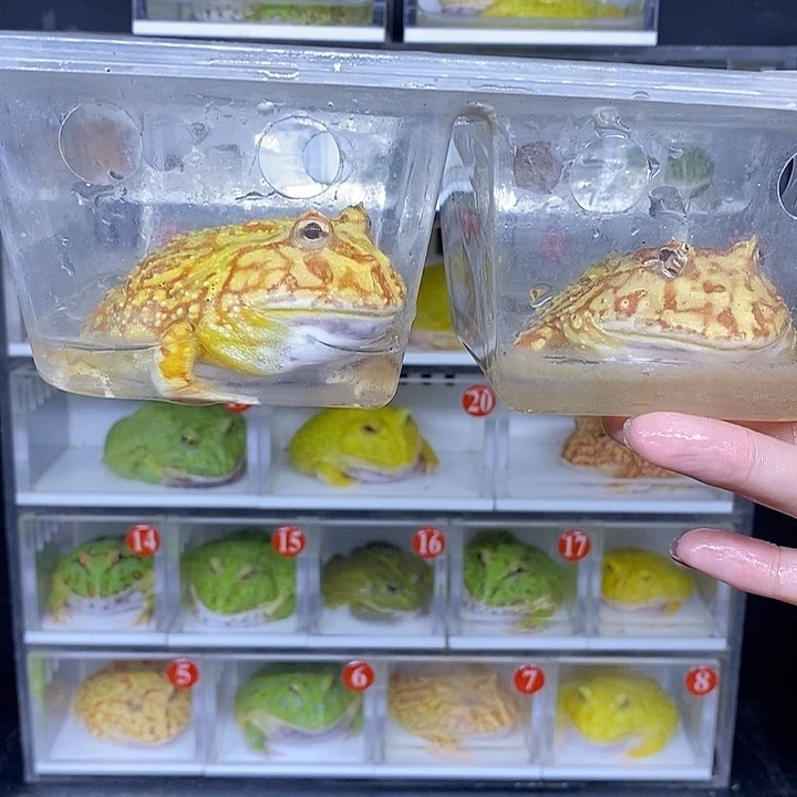 特价秒杀现货供应