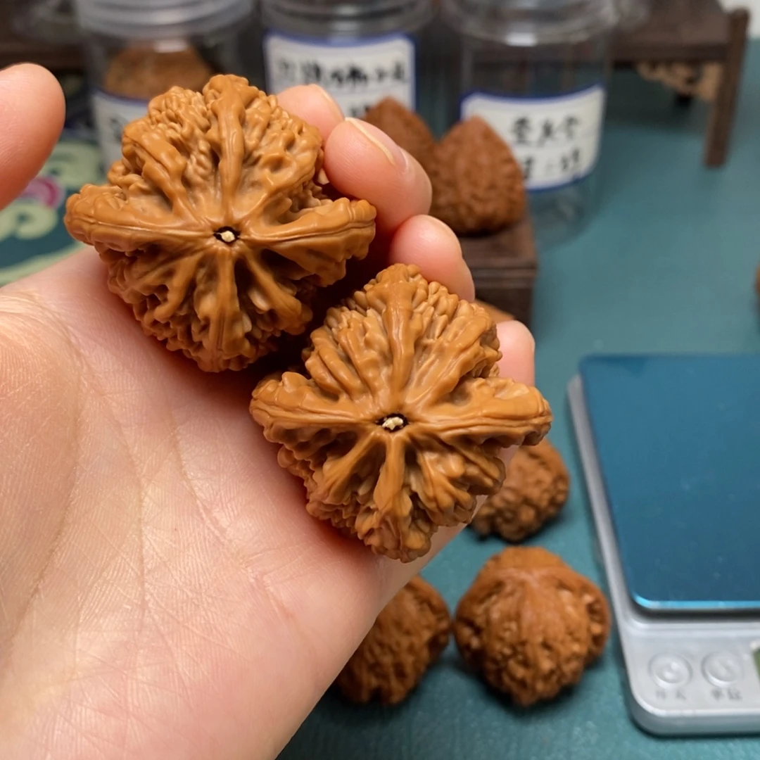 核桃43尺全品虎头王
