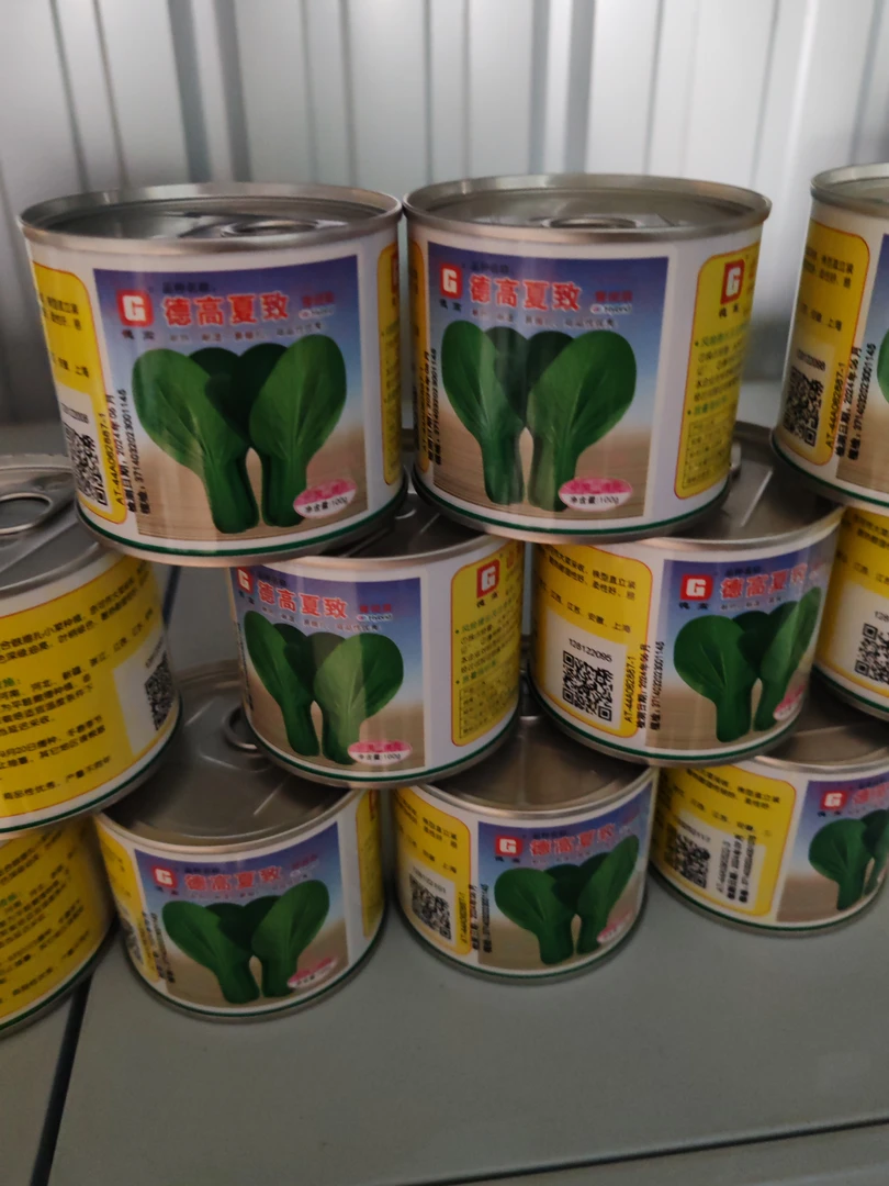 微量元素，抗热黑叶上海青，抗高温不拔尖不咋帮