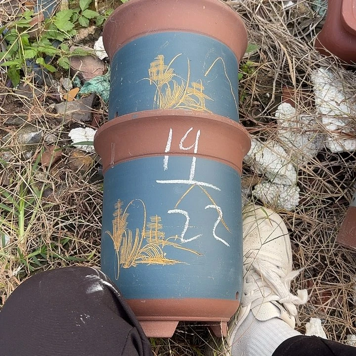 花盆紫砂紫砂的颜色