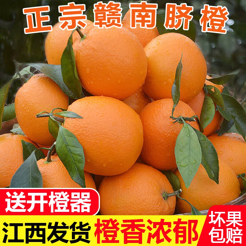 【10斤大果】正宗赣南脐橙 新鲜现摘 当季精品水果产地直发顺丰包邮