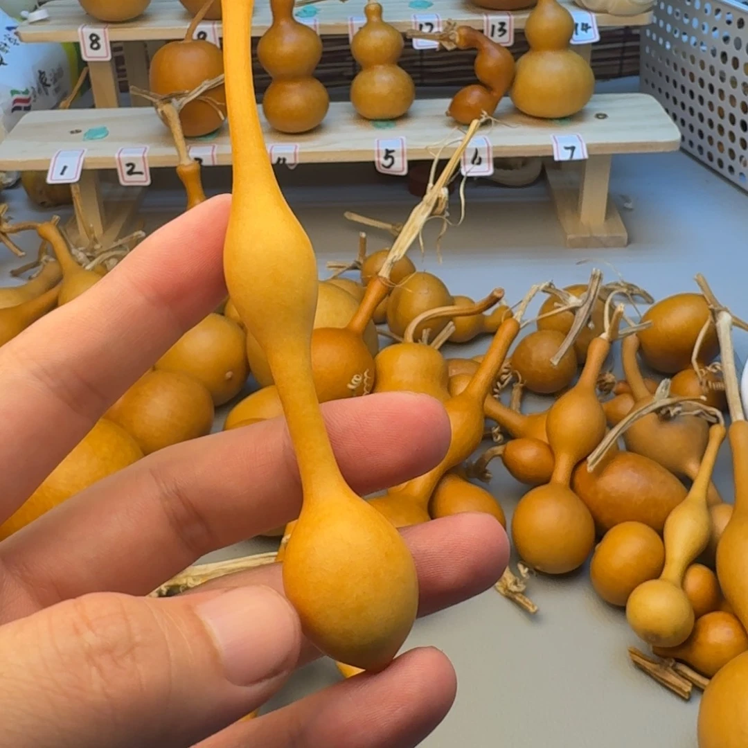 小***芦葫芦葫芦葫芦葫芦