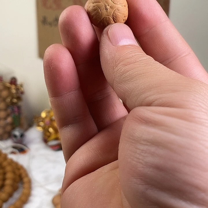 凤眼菩提吊坠尼泊尔精品五星菩提