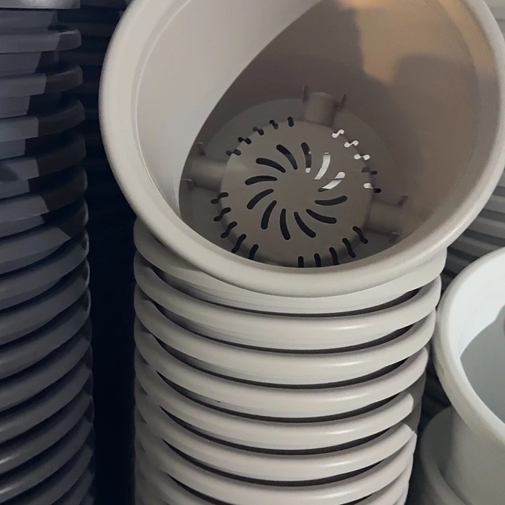 四季6号灰白无托10个特价微瑕