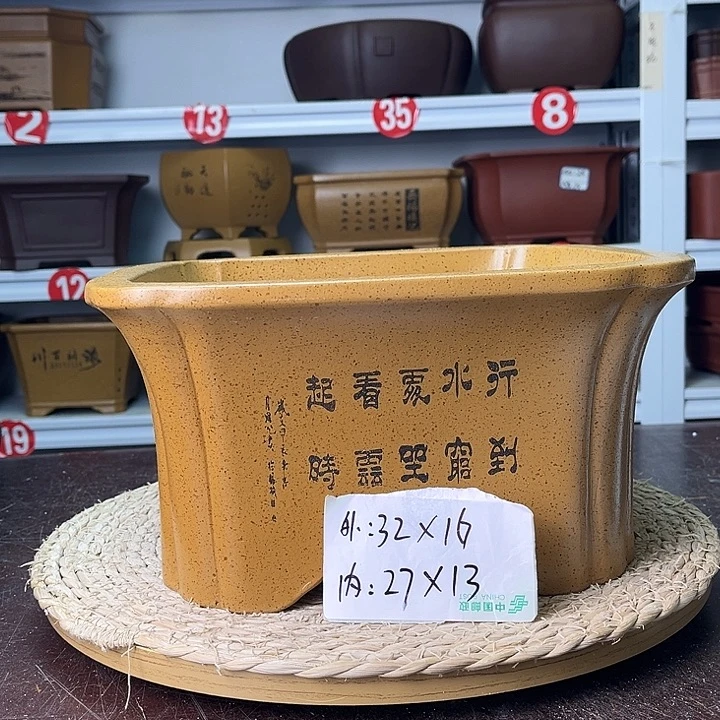 花盆紫砂你们的小