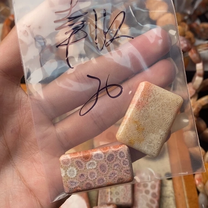 幸***以颈饰未镶嵌硅化珊瑚（珊瑚玉）