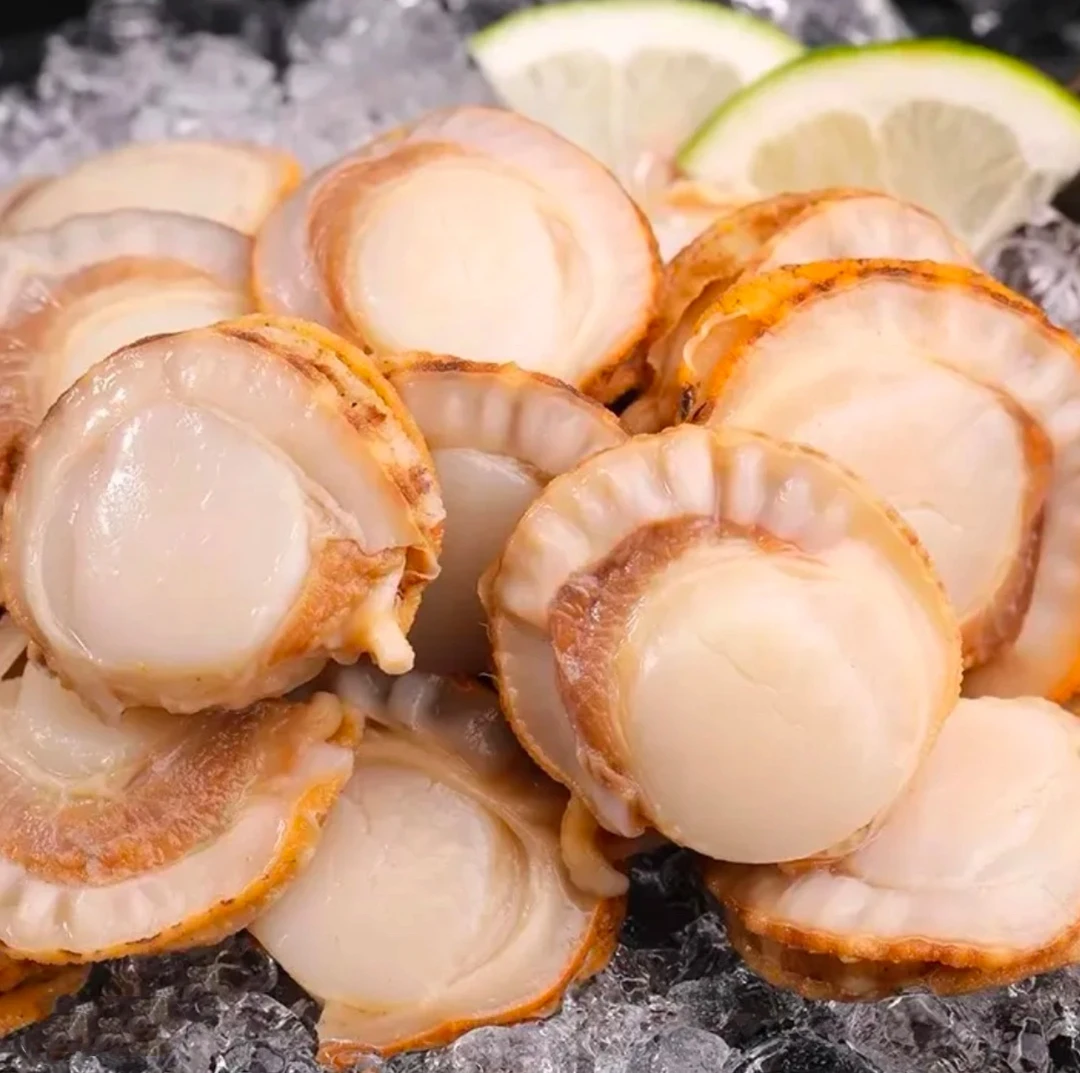 【小鱼儿】新鲜现剥 港湾贝肉 500克/包*5包 无沙无壳 大个瑶背柱
