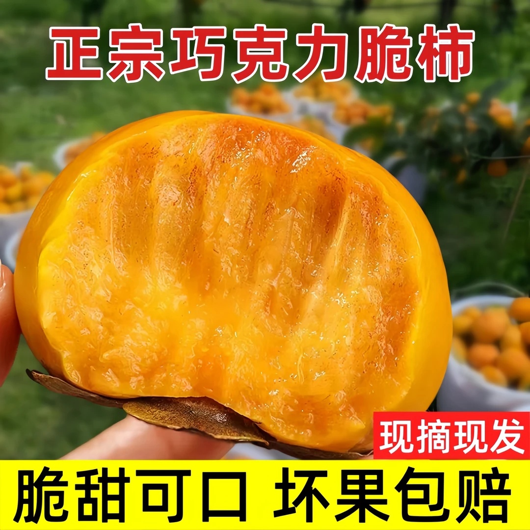 新鲜现发巧克力脆柿子当季正宗冰糖心黄青色发货甜脆包邮
