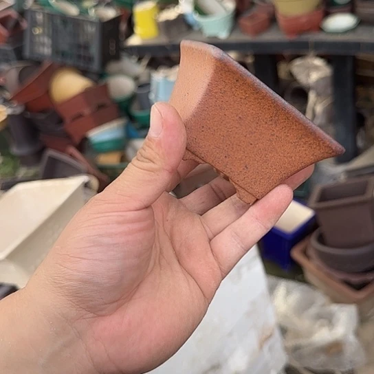 是的呀哈哈是这样哈哈好开心