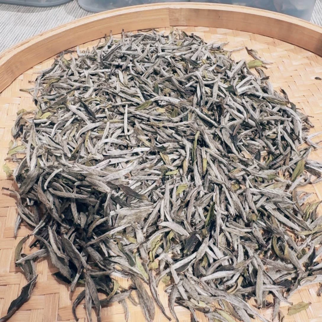 白毫银针白毫银针
