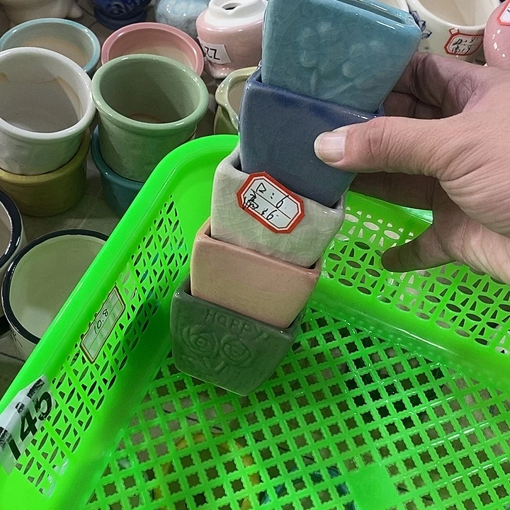 花盆抢购清货马上开始