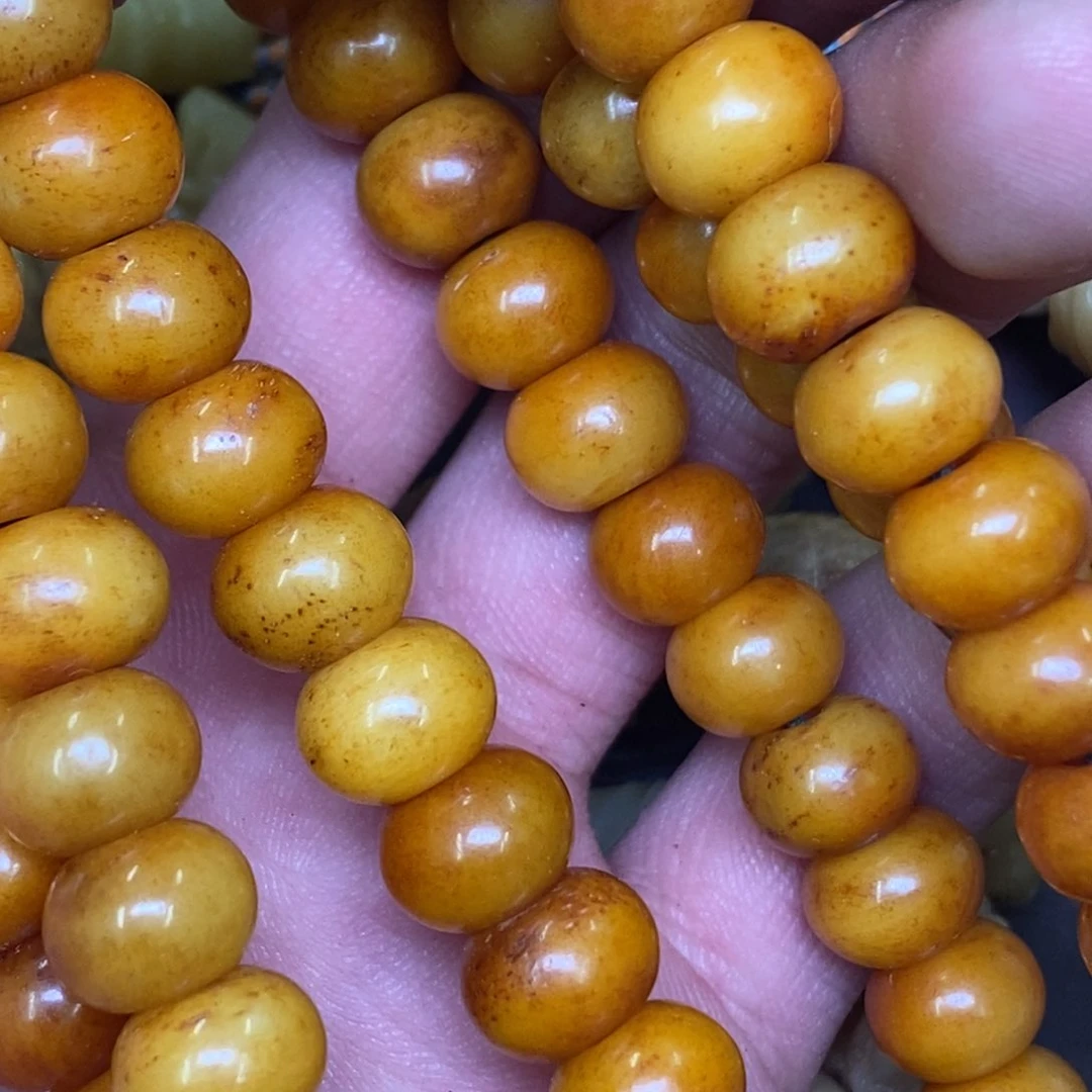 其他驼骨1.0尺寸灵骨,164