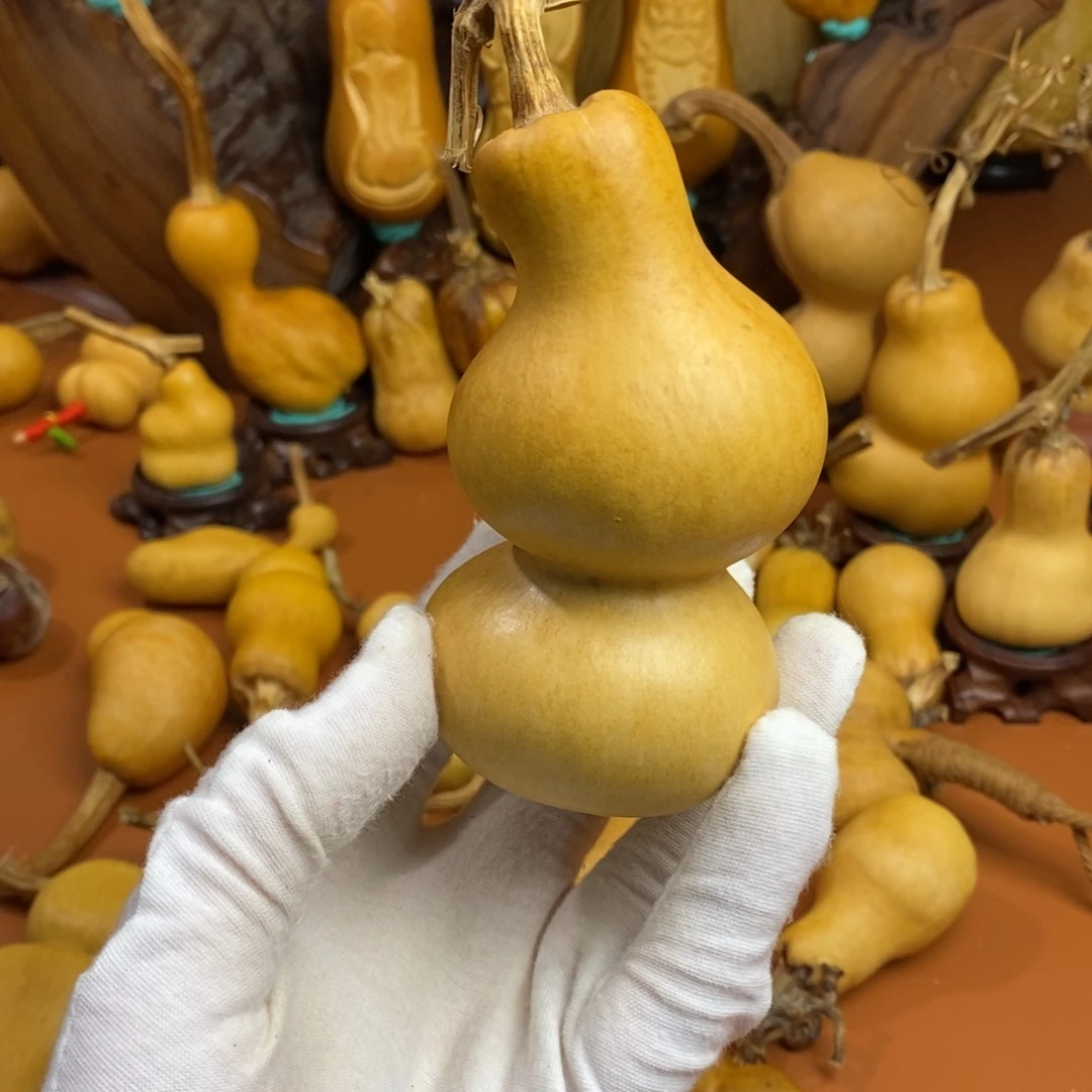 后***帝教练咯教练咯教练咯