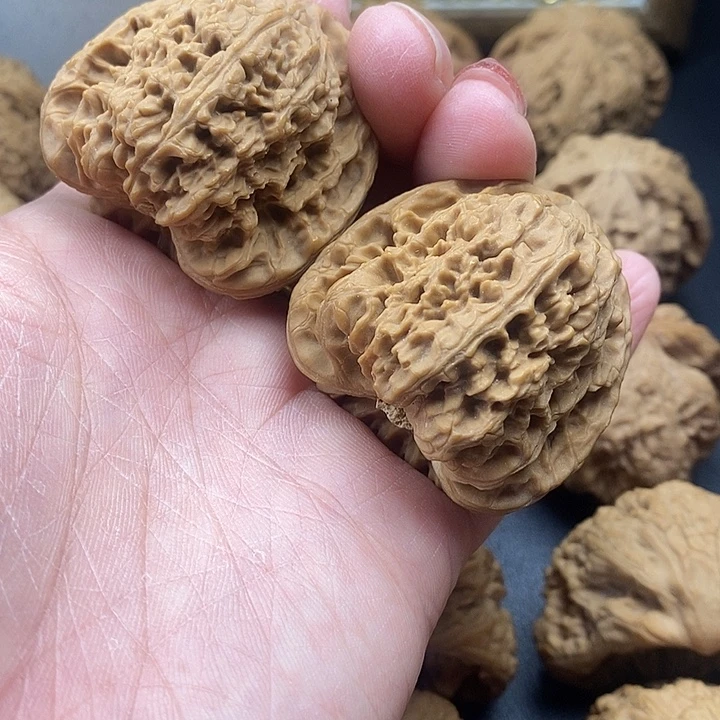 吊坠龙脊菩提南江石43