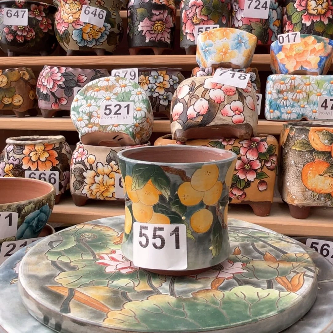 巷往1个6666666666