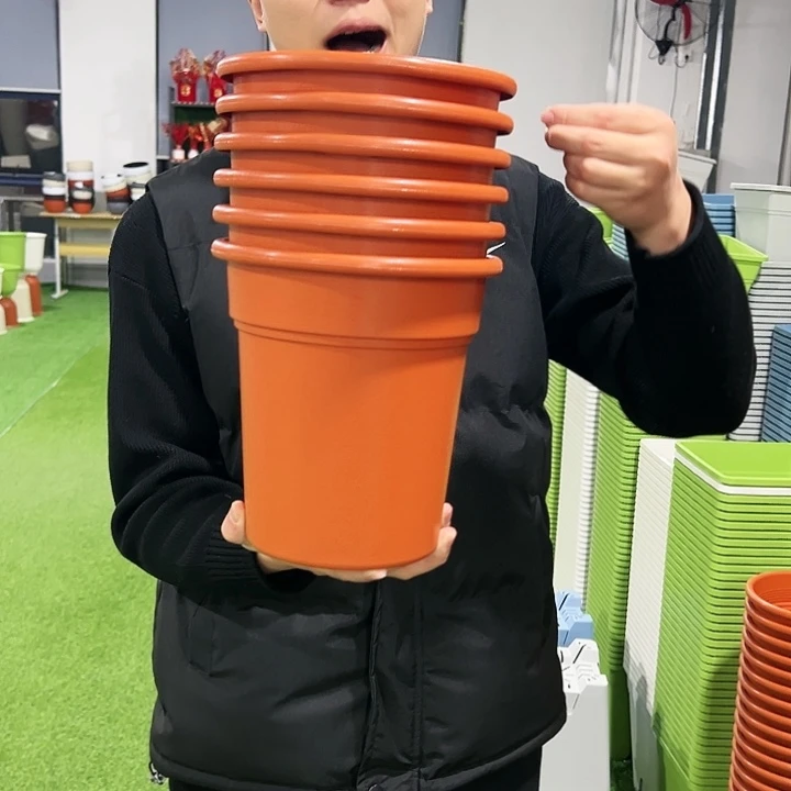 清仓翻边口21高21陶红色6只无托